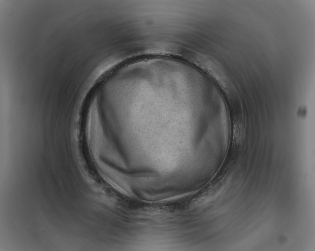 X0000101690724200807241408