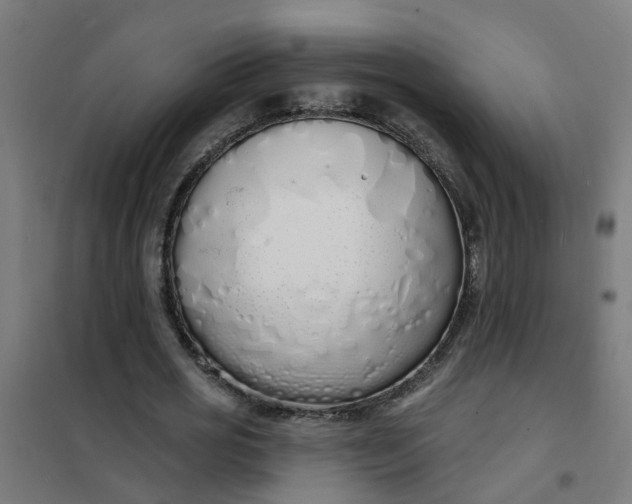 X0000101690725200807241408