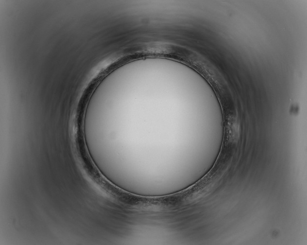 X0000101690726200807241408