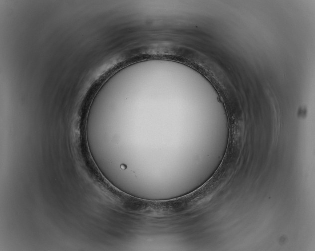 X0000101690727200807241408