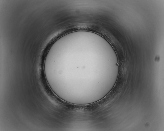 X0000101690728200807241408