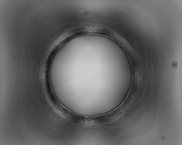 X0000101690730200807241408