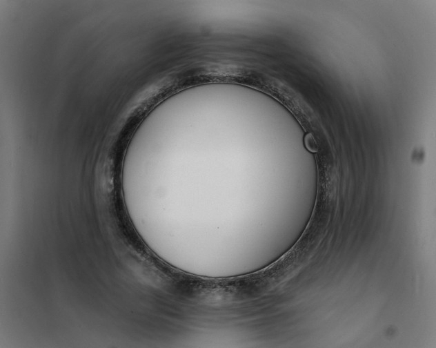 X0000101690731200807241408