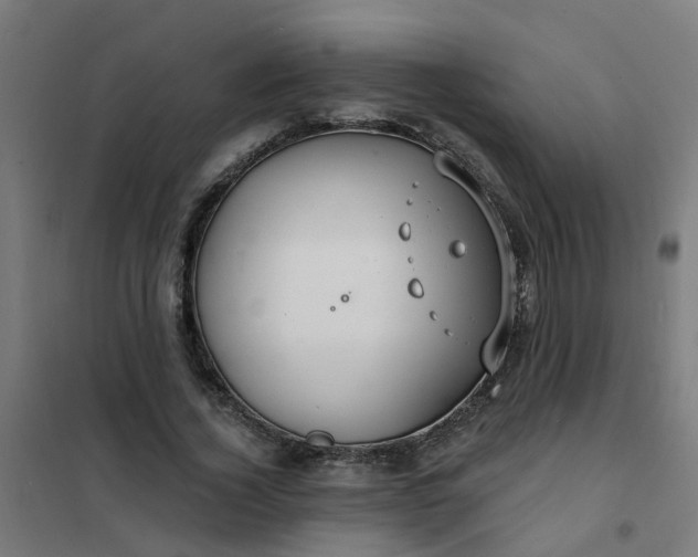 X0000101690732200807241408