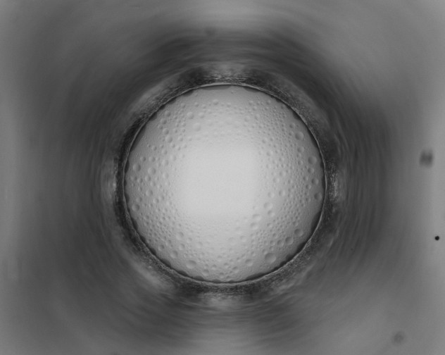 X0000101690733200807241408