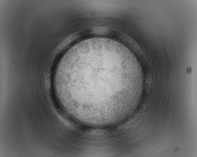 X0000101690734200807241408