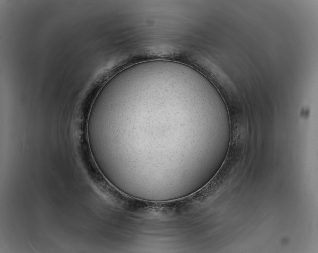 X0000101690736200807241408