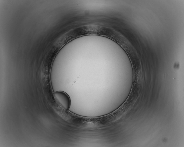 X0000101690737200807241408