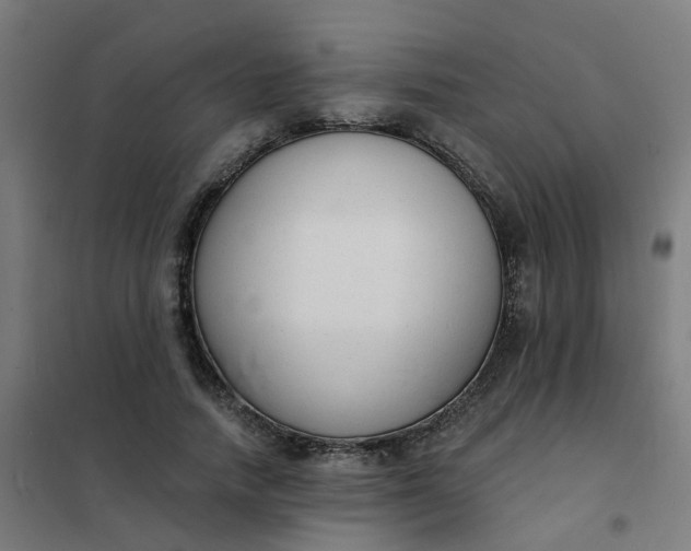 X0000101690738200807241408