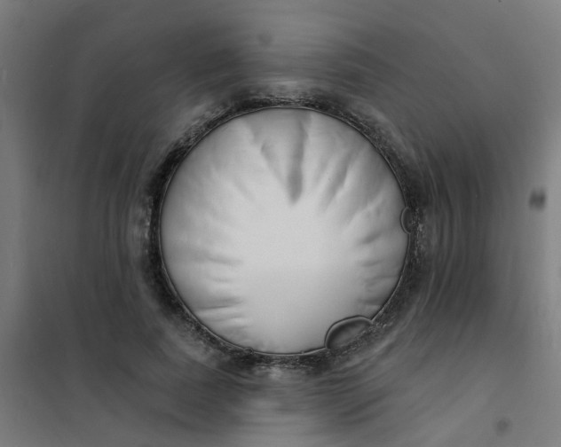 X0000101690739200807241408