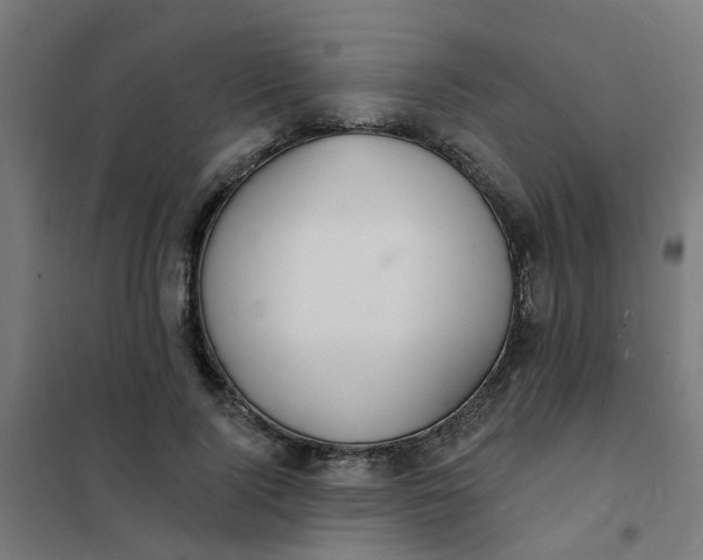 X0000101690740200807241408