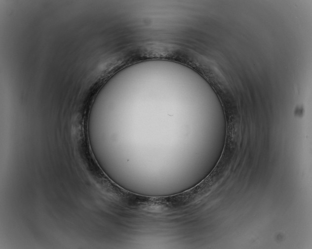 X0000101690743200807241408