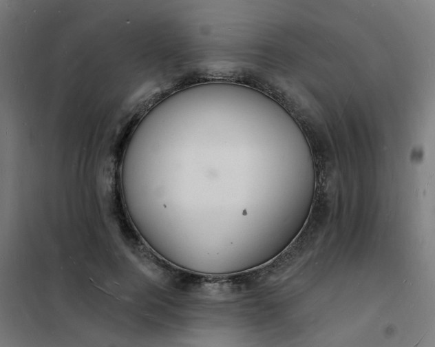 X0000101690744200807241408