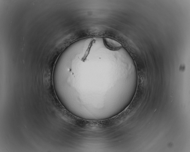 X0000101690745200807241408