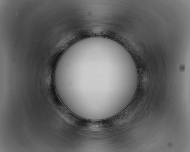 X0000101690746200807241408