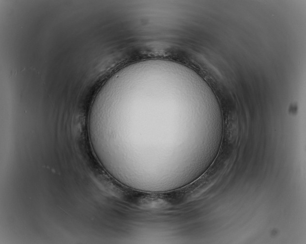 X0000101690747200807241408