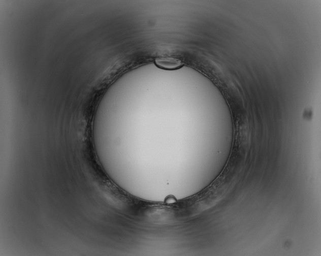 X0000101690750200807241409