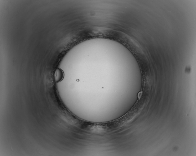 X0000101690751200807241409