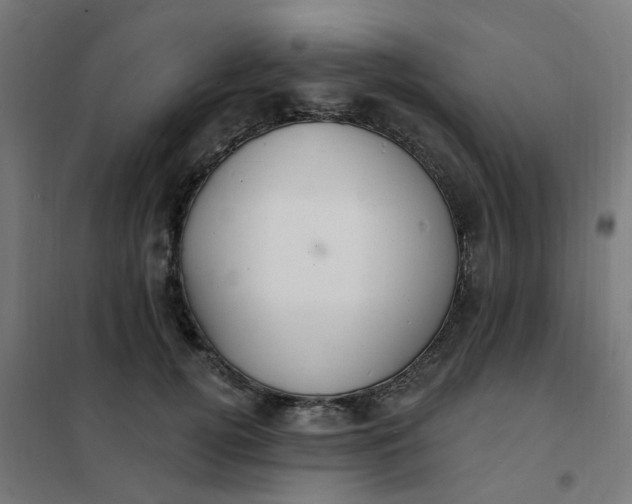 X0000101690752200807241409