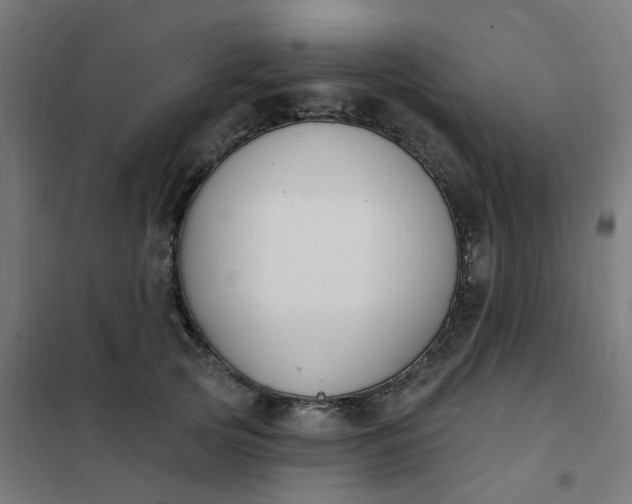 X0000101690753200807241409