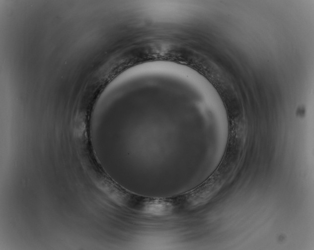 X0000101690754200807241409