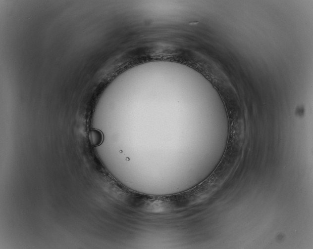 X0000101690755200807241409