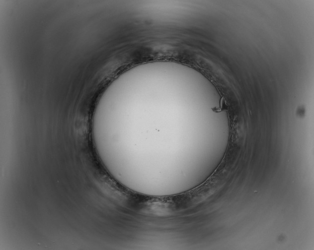 X0000101690756200807241409