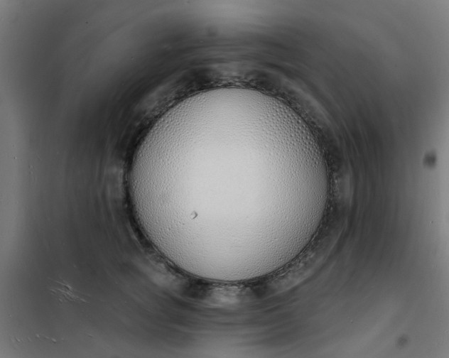 X0000101690757200807241409