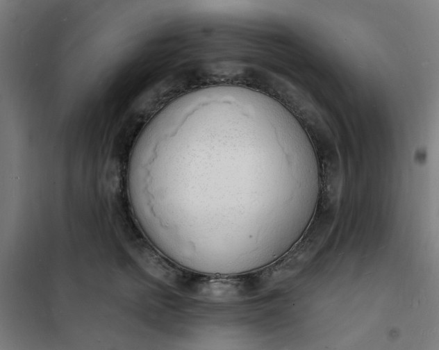 X0000101690758200807241409