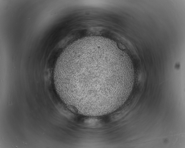 X0000101690759200807241409