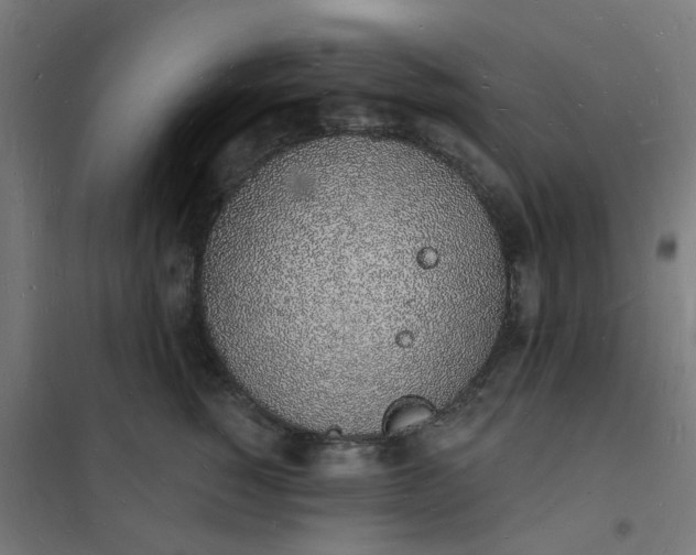 X0000101690760200807241409