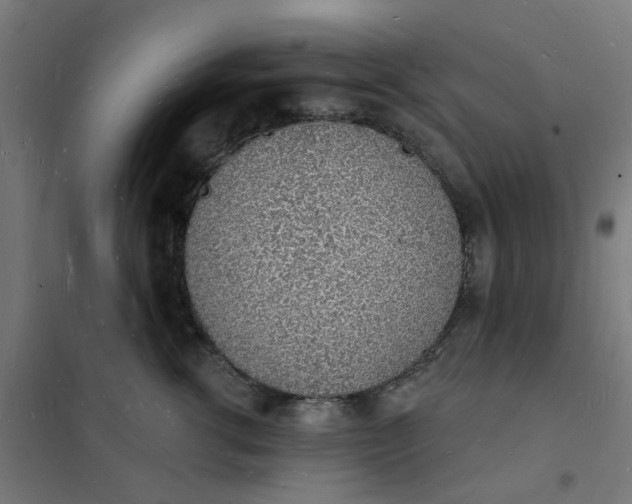 X0000101690762200807241409