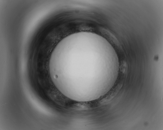 X0000101690763200807241409