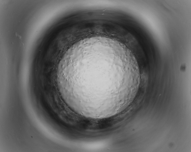 X0000101690765200807241409