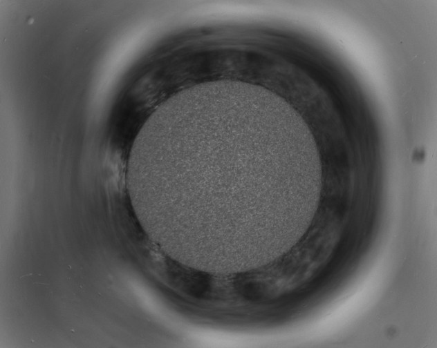 X0000101690766200807241409