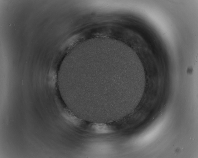 X0000101690767200807241409