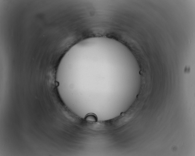 X0000101690768200807241409