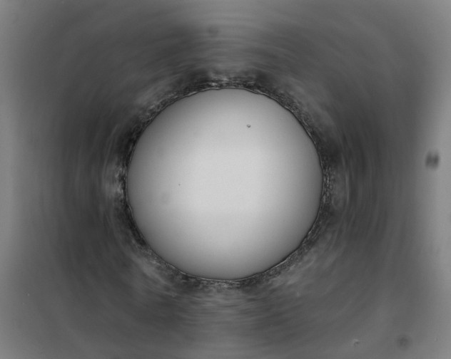 X0000101690770200807241408