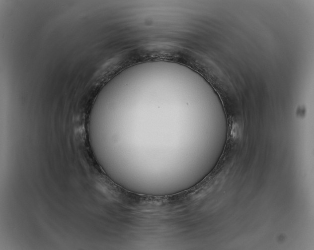 X0000101690771200807241408