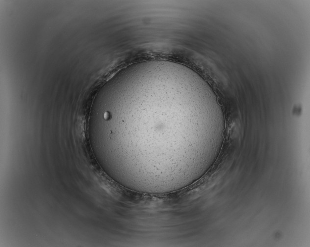 X0000101690772200807241408