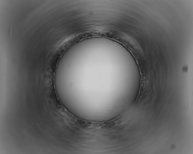 X0000101690773200807241408