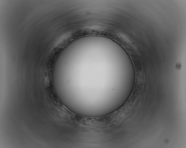 X0000101690774200807241408