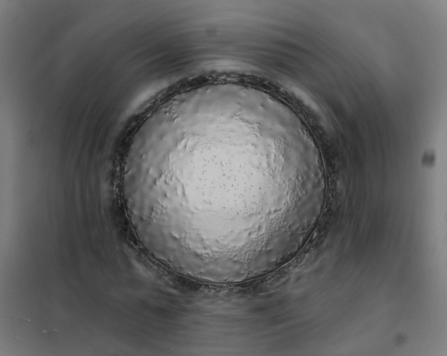 X0000101690775200807241408