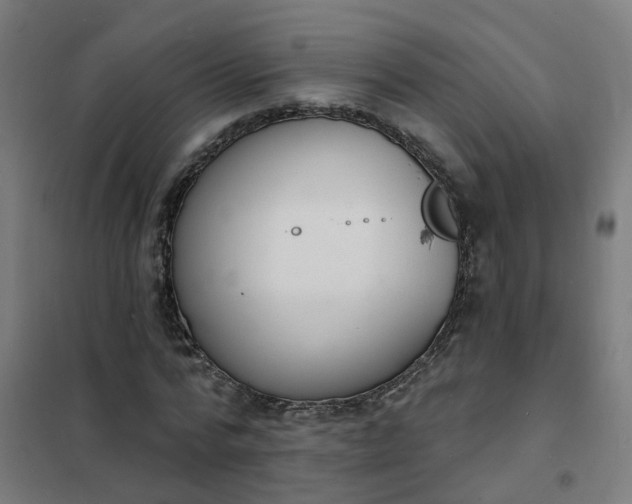 X0000101690776200807241408