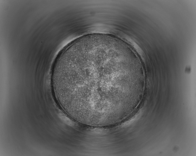 X0000101690779200807241408