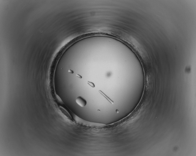 X0000101690780200807241408