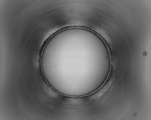 X0000101690781200807241408