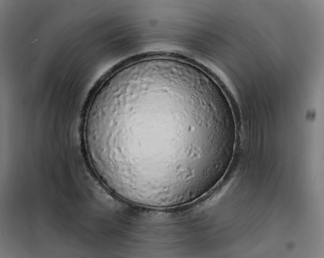 X0000101690783200807241408