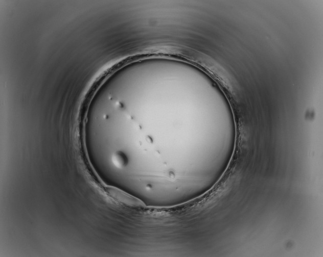 X0000101690784200807241408