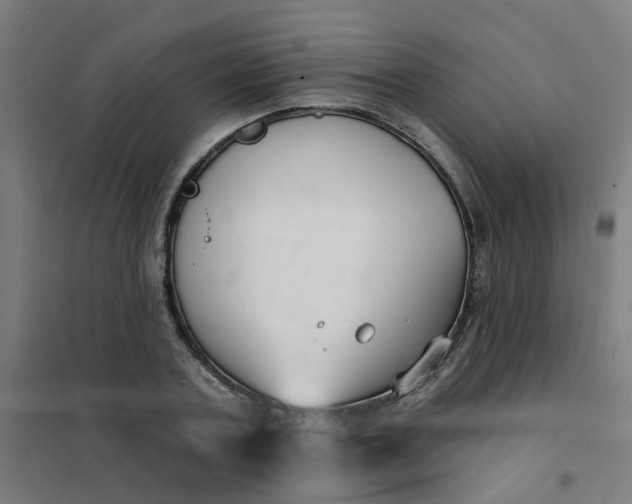 X0000101690787200807241408